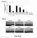 Fig. 05 - Solubilization of antigen components for removal from tissues