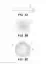Fig. 03 - TISSUE-BASED COMPOSITIONS AND METHODS OF USE THEREOF