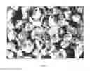 Fig. 03 - Porous biocompatible polymer material and methods