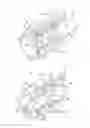 Fig. 07 - Apparatus to inject fluids into bone marrow and other target sites