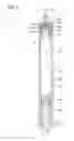 Fig. 09 - Syringe barrel and mold for injection molding