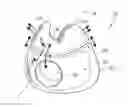 Fig. 01 - Seal for a patient interface, interface assemblies and aspects thereof