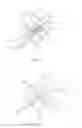 Fig. 02 - A PLASTER DEVICE