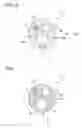 Fig. 07 - Catheter