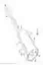 Fig. 10 - Rectal balloon with locking stopper