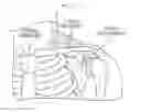 Fig. 04 - Methods and devices for inhibiting nerves when activating brown adipose tissue