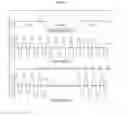 Fig. 10 - Methods and devices for activating brown adipose tissue using electrical energy