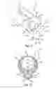Fig. 10 - SELF EXPANDING ELECTRODE CUFF