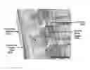 Fig. 01 - Antenna assembly