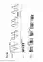 Fig. 35 - MAGNETIC STIMULATOR FOR STIMULATING TISSUE WITH A MAGNETIC FIELD