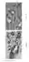Fig. 33 - Combined local delivery of therapeutic agents using interventional devices and radiation