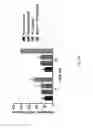 Fig. 44 - Combined local delivery of therapeutic agents using interventional devices and radiation