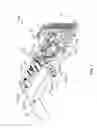 Fig. 02 - Auxiliary device for muscle strength training