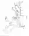 Fig. 06 - Networked game system having multiple full-body exercise apparatus controllers