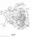 Fig. 09 - Exercise apparatus