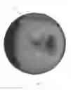 Fig. 02 - Multi-piece golf ball