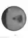 Fig. 08 - Multi-piece golf ball