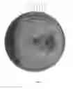 Fig. 13 - Multi-piece golf ball