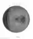 Fig. 15 - Multi-piece golf ball
