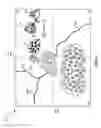 Fig. 06 - COLLABORATIVE ELECTRONIC GAME PLAY EMPLOYING PLAYER CLASSIFICATION AND AGGREGATION