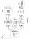 Fig. 61 - Sequentially operated modules