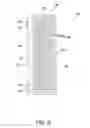 Fig. 09 - DISPLAY FOR TOY BUILDING ELEMENTS