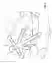 Fig. 06 - Manually posable figure animation system and method