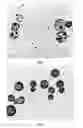 Fig. 03 - NEW PROCESS AND SYSTEM FOR MAGNETIC SEPARATION