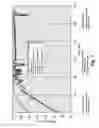 Fig. 08 - Filter media with a multi-layer structure