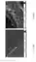 Fig. 20 - High efficiency, high performance metal-organic framework (MOF) membranes in hollow fibers and tubular modules