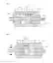 Fig. 08 - Vibration generating device