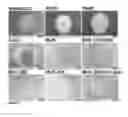 Fig. 24 - Coatings for forming tools