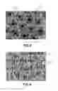 Fig. 03 - Composition of particulate materials and process for obtaining self-lubricating sintered products