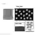 Fig. 03 - METHOD FOR PREPARING A DENDRIMER TYPE OR DENDRIMER-DERIVED METAL NANOSTRUCTURE IN LIQUID-LIQUID INTERFACE AND DENDRIMER TYPE OR DENDRIMER-DERIVED METAL NANOSTRUCTURE PREPARED BY SAME