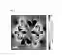 Fig. 04 - METHOD FOR PREPARING A DENDRIMER TYPE OR DENDRIMER-DERIVED METAL NANOSTRUCTURE IN LIQUID-LIQUID INTERFACE AND DENDRIMER TYPE OR DENDRIMER-DERIVED METAL NANOSTRUCTURE PREPARED BY SAME