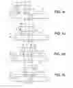 Fig. 10 - SHAPE-SHIFTING A CONFIGURATION OF REUSABLE ELEMENTS