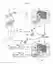 Fig. 09 - Robot identification system