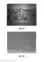 Fig. 04 - Coextruded, crosslinked multilayer polyolefin foam structures and methods of making the same