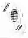 Fig. 08 - FOUR-IN-ONE THREE-DIMENSIONAL COPY MACHINE
