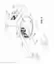 Fig. 09 - FOUR-IN-ONE THREE-DIMENSIONAL COPY MACHINE