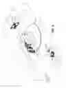 Fig. 10 - FOUR-IN-ONE THREE-DIMENSIONAL COPY MACHINE
