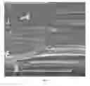 Fig. 07 - Polymeric material for three-dimensional printing