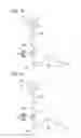 Fig. 10 - Method of manufacturing optical fiber and apparatus of manufacturing the same