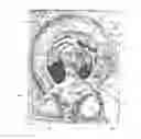 Fig. 01 - DECORATIVE PANELS AND PROCESSES FOR THE MAKING THEREOF