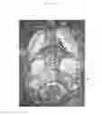 Fig. 04 - DECORATIVE PANELS AND PROCESSES FOR THE MAKING THEREOF