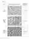 Fig. 05 - METHOD OF FORMING PATTERN PRINTING LAYER ON NON-ACTIVE AREA OF DISPLAY DEVICE AND DISPLAY DEVICE HAVING THE SAME