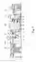 Fig. 02 - PRINTING PRESS FOR NUMBERING AND VARNISHING OF SECURITY DOCUMENTS, INCLUDING BANKNOTES