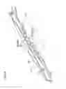 Fig. 15 - Vehicle sunroof device