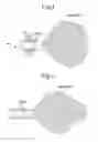 Fig. 04 - Lamp unit producing various beam patterns