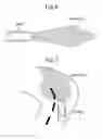 Fig. 05 - Lamp unit producing various beam patterns